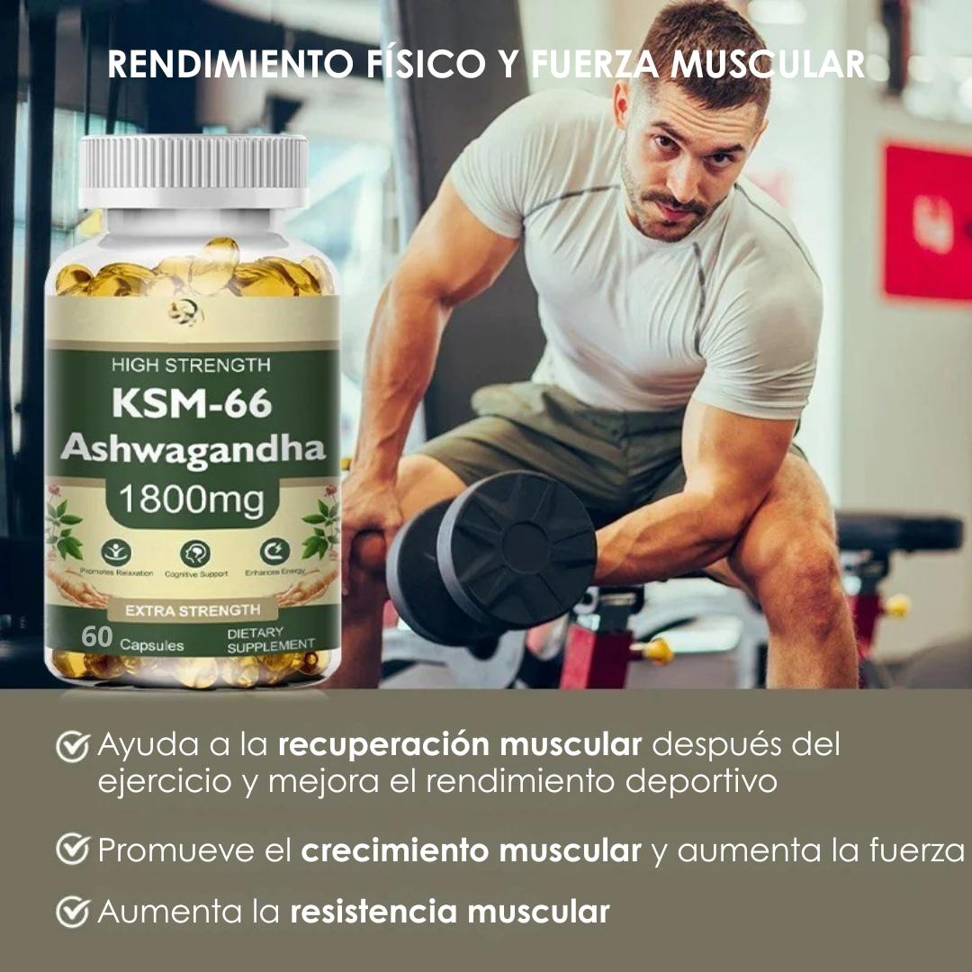 Ashwagandha Natural – Reduce el estrés y mejora tu energía