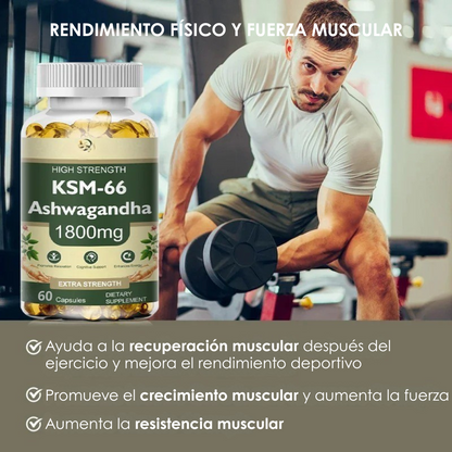 Ashwagandha Natural – Reduce el estrés y mejora tu energía