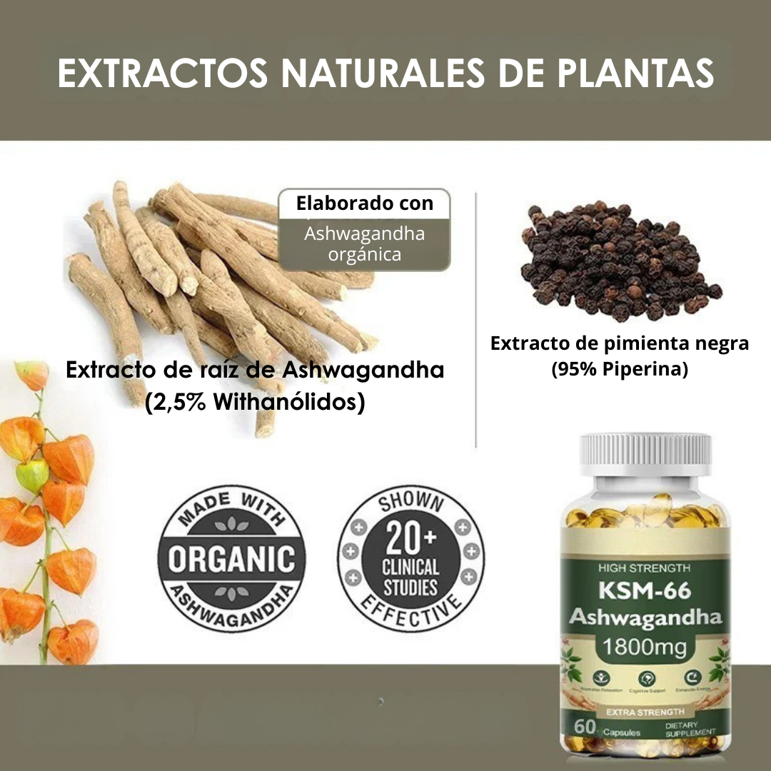 Ashwagandha Natural – Reduce el estrés y mejora tu energía