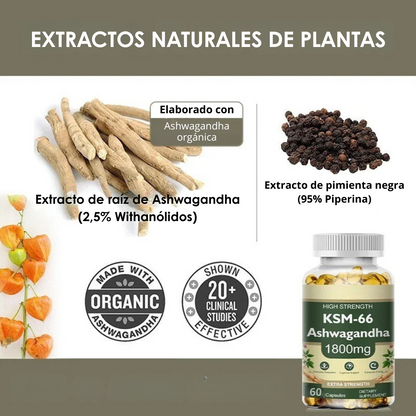 Ashwagandha Natural – Reduce el estrés y mejora tu energía